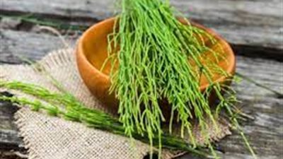 هذه العشبة هى سر الشعر الكثيف والطويل.. لا تتجاهليها