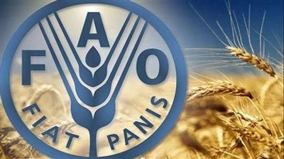 الفاو: تراجع مؤشر أسعار السلع الغذائية الأولية خلال يناير لأدنى مستوى منذ فبراير 2021