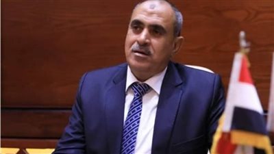 بعد رفضها.. شروط وإجراءات رفع الحصانة عن عضو مجلس الشيوخ