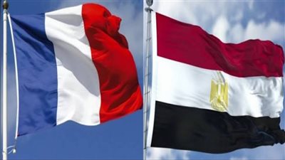 ‏مصر وفرنسا يتحدا لرفض تهجير الفلسطينيين.. تفاصيل