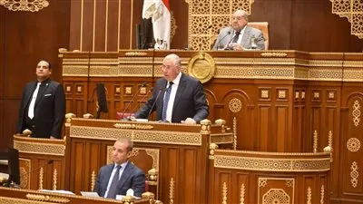 وزير الزراعة يستعرض أمام مجلس الشيوخ إنجازات القطاع خلال العشر سنوات الماضية 