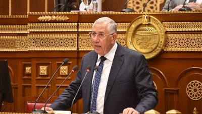 عاجل| الزراعة تقرر صرف 307 مليون جنيه للمشروع القومي للبتلو