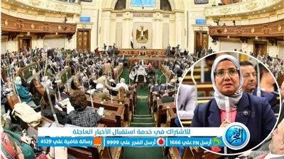 بعد وفاتها بحادث.. ما مصير مقعد النائبة أمنية محمود رجب بمجلس النواب؟