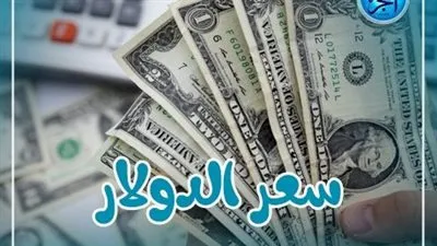 سعر الدولار اليوم السبت 10 فبراير 2024 فى مصر
