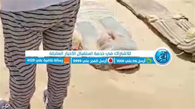 خبراء يكشفون عن أخطاء كبرى في فيديو سقارة: «الأمر لا يتعلق بالتوقيت» 