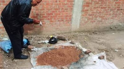 زراعة الشرقية تكثف جهودها لتنفيذ فعاليات حملة صيانة محصول القمح