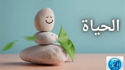 الحياة.. حكم ومواعظ عن المفهوم 