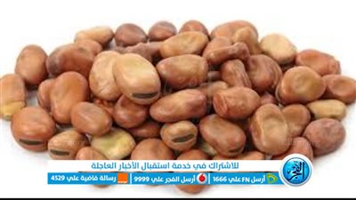 فوائد الفول المدمس.. كنز غذائي لصحة أفضل