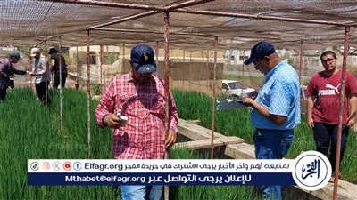 هيئة الاستشعار من البُعد تدعم استخدام الزراعة الذكية لتحسين جودة المحاصيل الزراعية