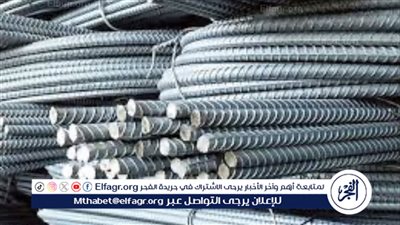 سعر طن الحديد اليوم الأحد 11 فبراير 2024 في مصر.. تراجع جديد للاستثماري