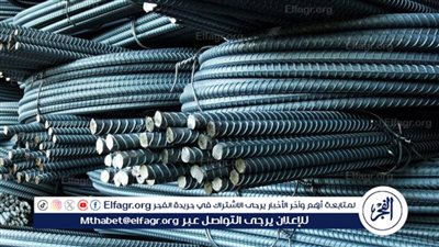 الآن.. سعر الحديد اليوم الأحد 11 فبراير 2024 للمستهلك في مصر