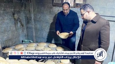 احالة 219 محضرا بمخالفات الرقابة على الأسواق للنيابة العامة بالدقهلية