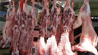 أسعار اللحوم الجملي والضاني اليوم الثلاثاء 3-6-2025 في الأسواق ومحال الجزارة بقنا