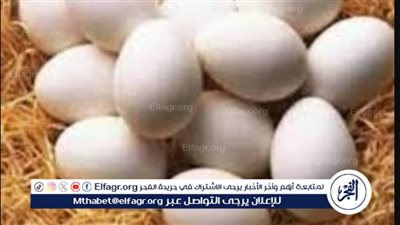 أسعار طبق البيض اليوم الجمعة 14-3-2024 في قنا