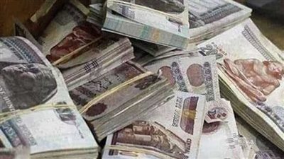 خبير اقتصادي يكشف أهمية تصريحات مدير الصندوق فيما يخص برنامج الطروحات 