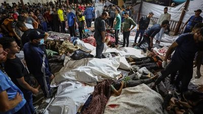 عاجل| الصحة الفلسطينية: 133 شهيدا ضحايا 16 مجزرة للاحتلال بغـزة خلال يوم