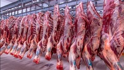عاجل| مفاجأة في أسعار اللحوم اليوم الاثنين 12 فبراير 2024 بالأسواق.. 