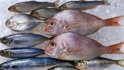 أسعار السمك اليوم الاثنين 12 فبراير 2024 بجميع الأسواق المصرية