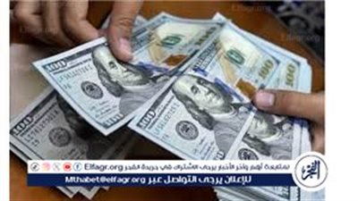 سعر الدولار في نهاية تعاملات اليوم الاثنين 12 فبراير 2024