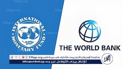 صندوق النقد والبنك الدوليين يحذران من خطر يهدد العالم