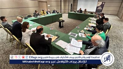 انطلاق أعمال ورشة مناقشة منهجية إعداد تقارير حرية الصحافة للمنظمات النقابية في العالم العربي والشرق الأوسط