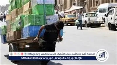 1000 جنيه منحة للعمالة غير المنتظمة.. تعرف على شروط التقديم وطريقة التسجيل