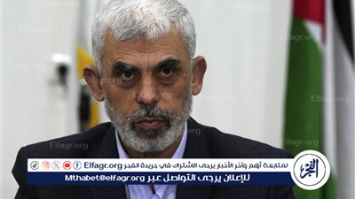 سمير فرج يكشف حقيقة فيديو السنوار في غزة (فيديو)