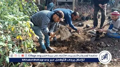 محافظ الغربية يتابع جهود الوحدات المحلية في زراعة أشجار مثمرة (صور)