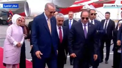 أستاذ علوم سياسية يكشف أسباب التقارب المصري التركي