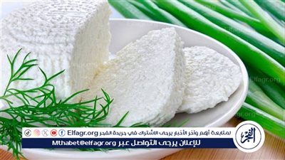 تعرف على فوائد الجبن القريش.. للعظام والجهاز الهضمي والقلب والأوعية الدموية