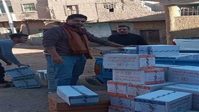 ضبط 2998 عبوة معسل مجهولة المصدر بحملة تموينية شمال سوهاج