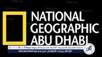 اتفرج على أجمل وثائقيات الحيوانات على قناة National Geographic 2024..اعرف التردد الآن