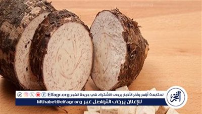  فوائد القلقاس الصحية وخيار غذائي مثالي لصحة أفضل.. تعرف عليها