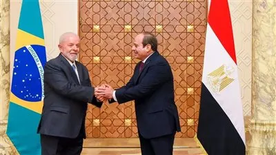 تزامنًا مع زيارة اليوم.. تعرف على تاريخ العلاقات المصرية البرازيلية