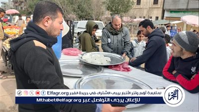 تحرير 190 محضرا في حملات صحية بالدقهلية مرت على 249 منشأة 