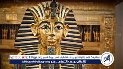 وسيم السيسي: 86% من المصريين يحملون جينات 