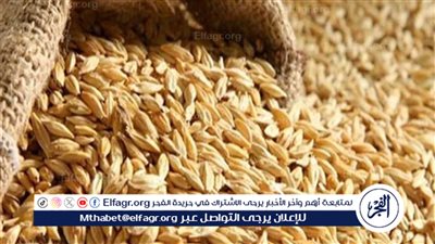 سعر طن الارز الشعير اليوم السبت 17 فبراير في أول التعاملات الصباحية