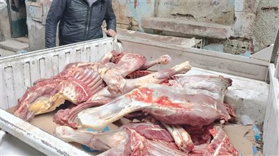 التحفظ على نصف طن لحوم منتهية الصلاحية بالقليوبية