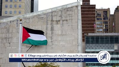 عاجل| الخارجية الفلسطينية: عضوية بلدنا الكاملة بالأمم المتحدة لا تحتاج إذن نتنياهو وحكومته