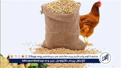 مجلس الوزراء يزف بشرى سارة عن الإعلاف الفترة المقبلة