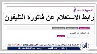 ادفع فاتورتك.. الاستعلام عن فاتورة التليفون الأرضي 2024 الشركة المصرية للاتصالات