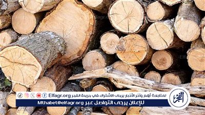 بالتفصيل.. أسعار الخشب اليوم في مصر 2024 وأفضل الأنواع 