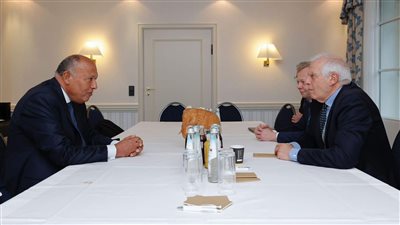 شكري وبوريل يؤكدان حرصهما على العمل المشترك لتحقيق انفراجة في الوضع المتأزم بغزة