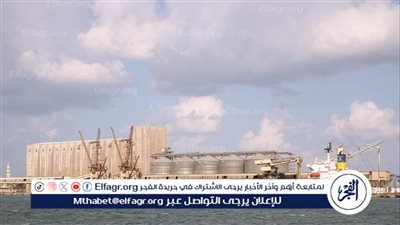 ميناء دمياط يستقبل 38 سفينة متنوعة خلال 24 ساعه