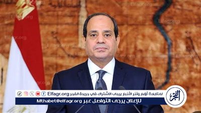 وزير العدل الفلسطيني: نقدر موقف الرئيس السيسي ومصر.. ولن تقبل التهجير 