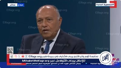 وزيرا خارجية مصر وتركيا يشددان على ضرورة الوقف الفوري للنار في غزة