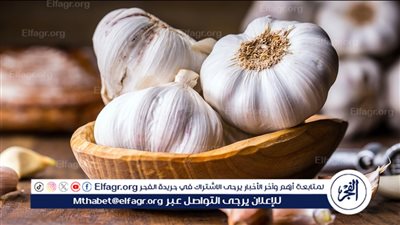 حقيقة ارتفاع سعر الثوم بالأسواق.. هل الكيلو هيوصل 100 جنيه؟ 