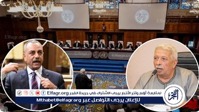 برلمانيون: تقدم مصر بمذكرة لـ 