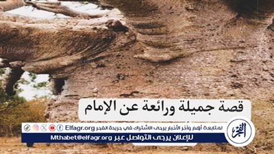 قصص قصيرة.. رؤيا أبو حنيفة