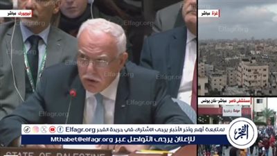 الخارجية الفلسطينية: نتوقع إعلان العدل الدولية أن الاحتلال غير قانوني ولا شرعي (فيديو)